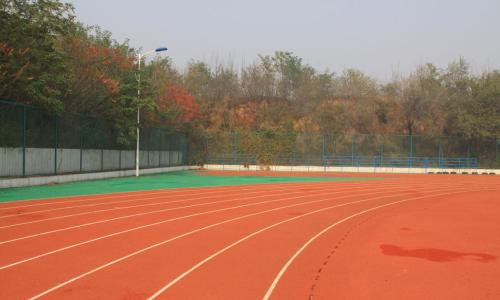 2015年南京市体育中考训练场地安排
