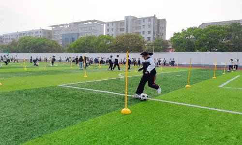 南京梁老师体育培训—— 以专业重塑运动未来，用汗水点亮城市之光