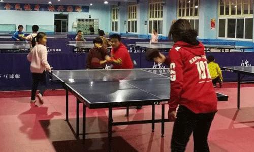 乒乓球培训